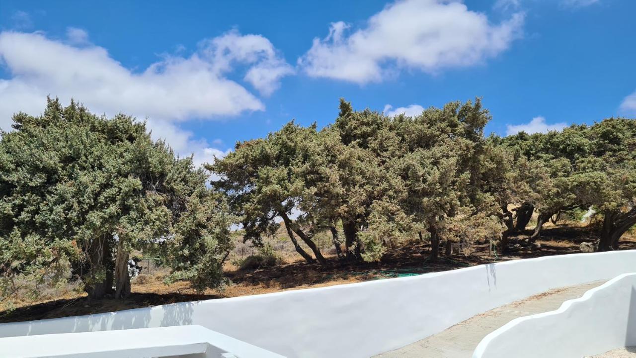 Seanfinity Beachfront Suites Mikri Vigla Eksteriør billede